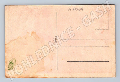 Pohlednice Hluboká nad Vltavou lovecký sál (M6039)