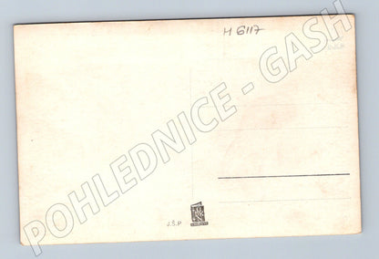 Pohlednice Hrad Zvíkov černobílá nepopsaná (M6117)