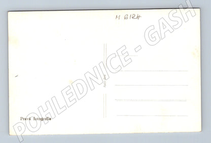 Pohlednice Hrad Zvíkov pravá fotografie čb (M6124)