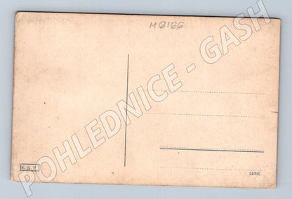 Pohlednice Zámek Konopiště kolorovaná (M6166)