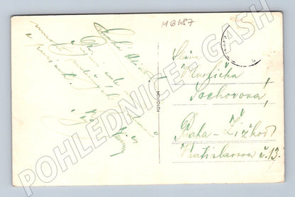 Pohlednice Konopiště zámek prošlá poštou (M6187)