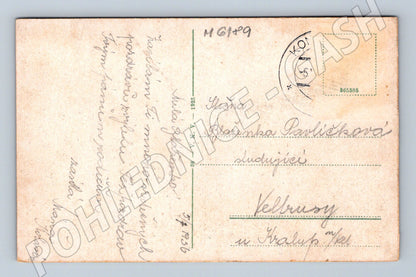 Pohlednice Konopiště historická kolorovaná 1935 (M6189)