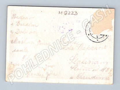 Pohlednice Hrad a vesnice zemědělská krajina (M6223)