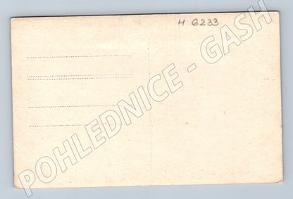 Pohlednice Bratislavský hrad panorama města (M6233)