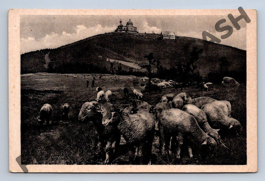 Pohlednice Radhošť s ovcemi a kaplí (M627)