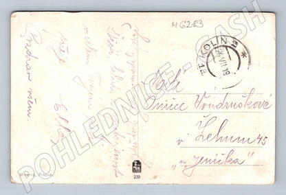 Pohlednice F. X. Naske Portrét umělkyně 1919 (M6283)