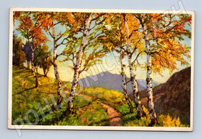 Pohlednice Švýcarsko břízy a hory R. Fischer (M6294)