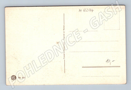 Pohlednice Švýcarsko břízy a hory R. Fischer (M6294)