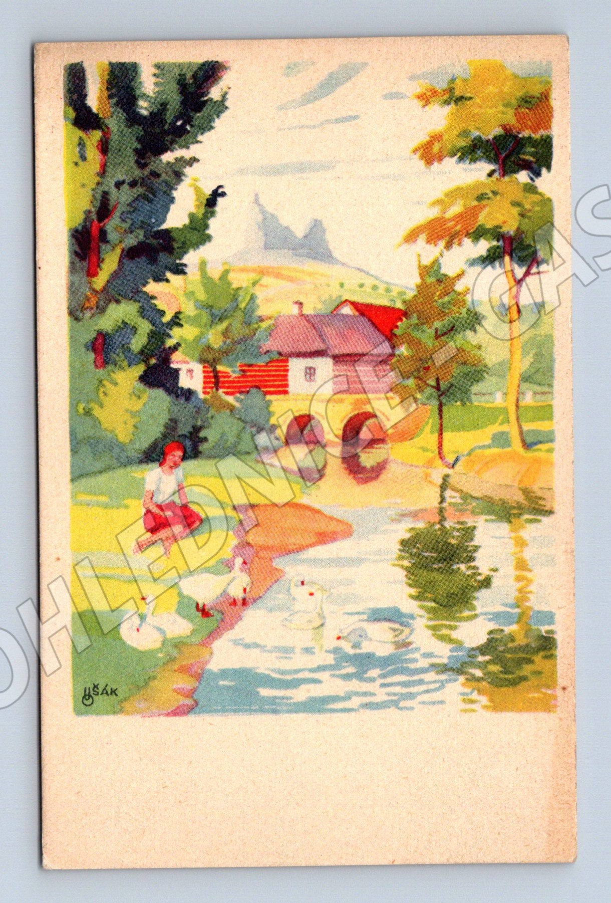 Pohlednice krajina s labutěmi nepoužitá (M6299)