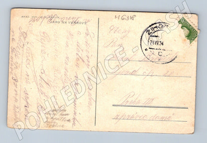 Pohlednice Jaro na venkově 1934 Pavlík (M6318)