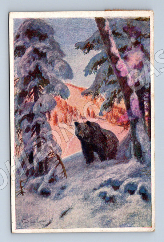 Pohlednice zimní krajina s medvědem (M6329)