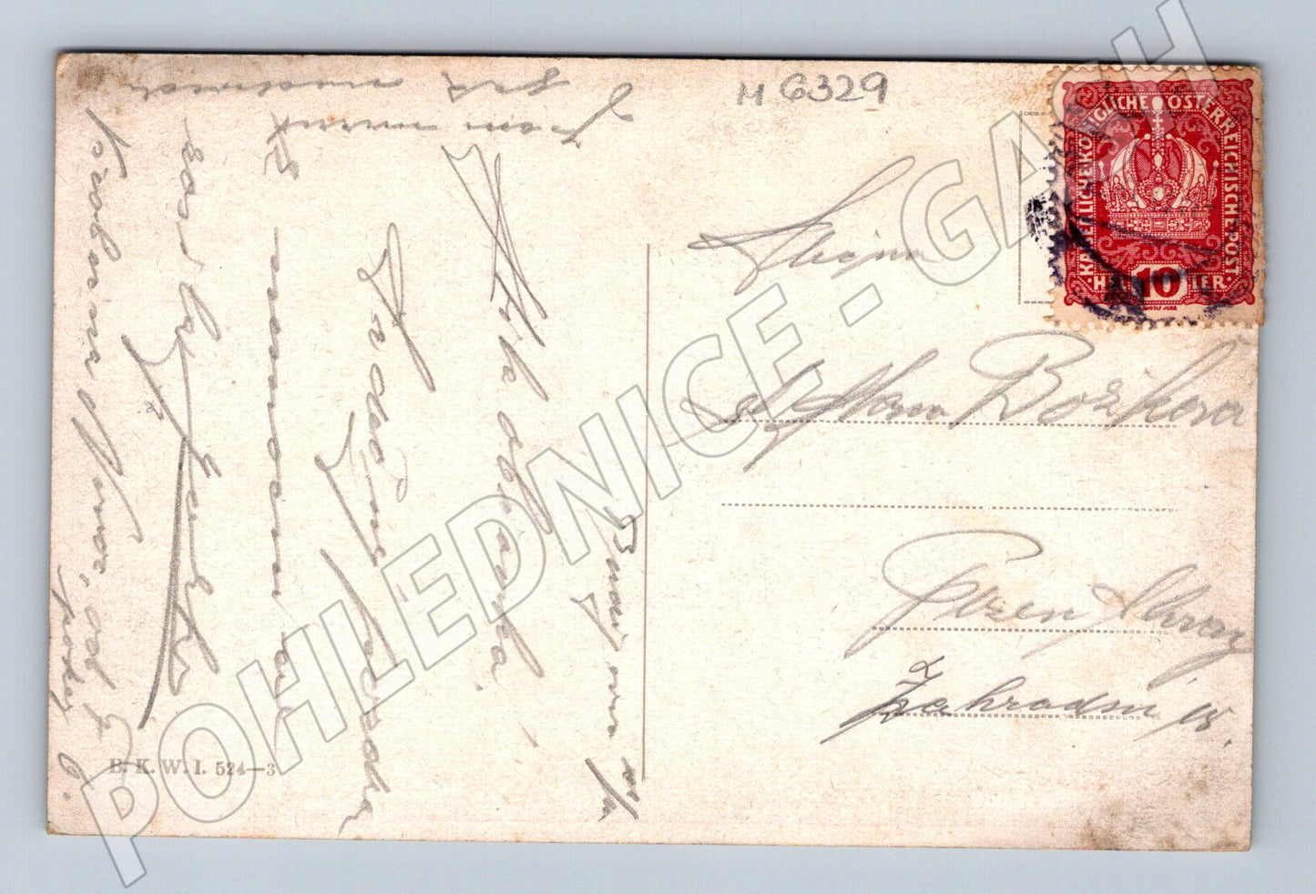 Pohlednice zimní krajina s medvědem (M6329)