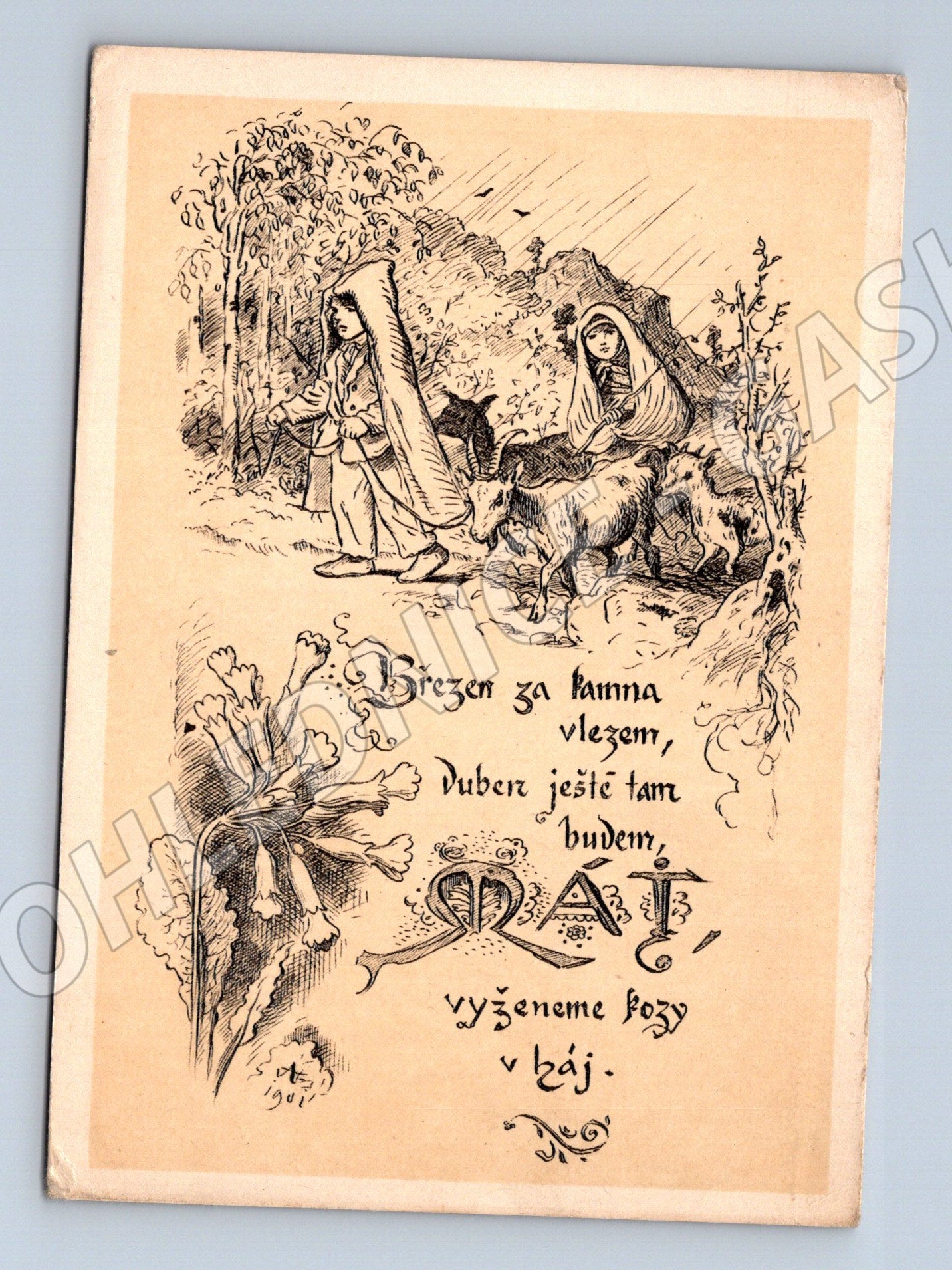 Pohlednice Aleš ilustrace verš Orbis (M6352)