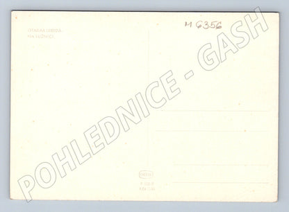 Pohlednice Otakar Lebeda Na Lužnici Orbis (M6356)