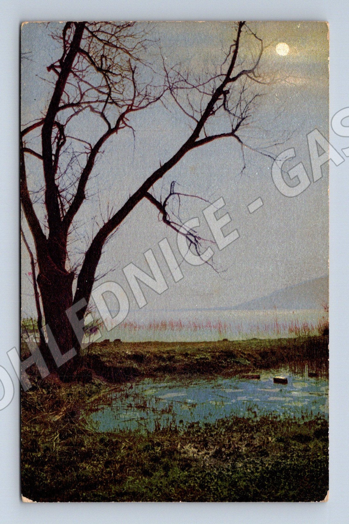 Pohlednice Švýcarsko strom u jezera noc (M6398)