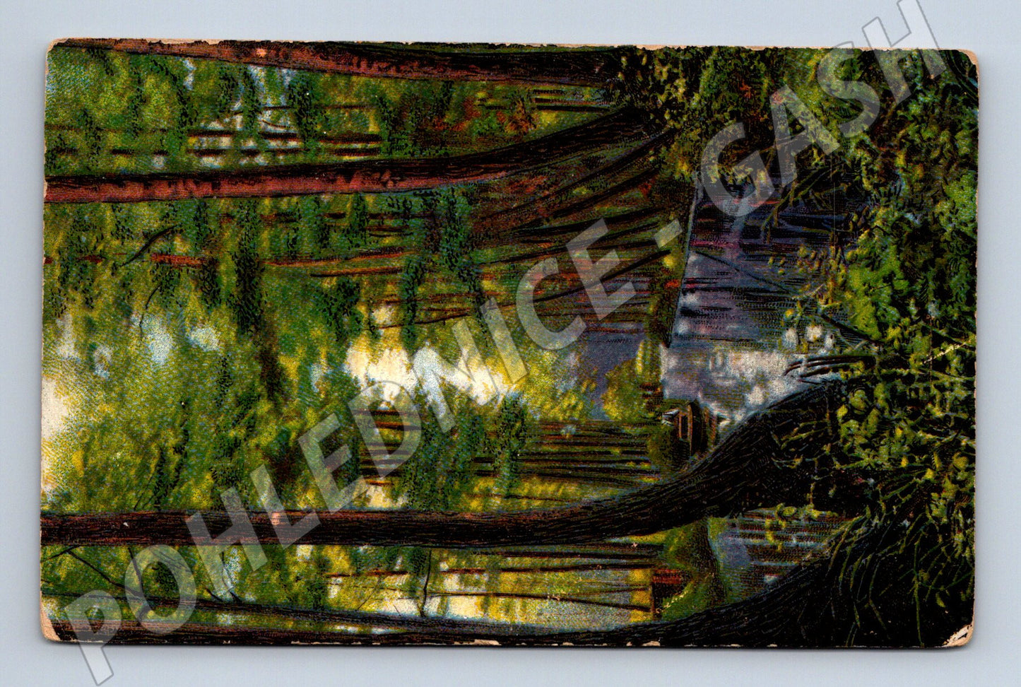 Pohlednice jezero v lese malý formát (M6433)