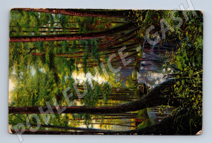 Pohlednice jezero v lese malý formát (M6433)