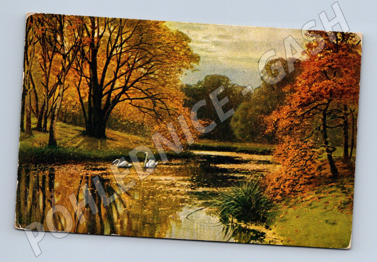 Pohlednice podzimní krajina s labutěmi 1968 (M6434)