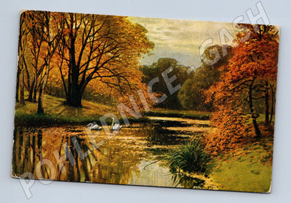 Pohlednice podzimní krajina s labutěmi 1968 (M6434)