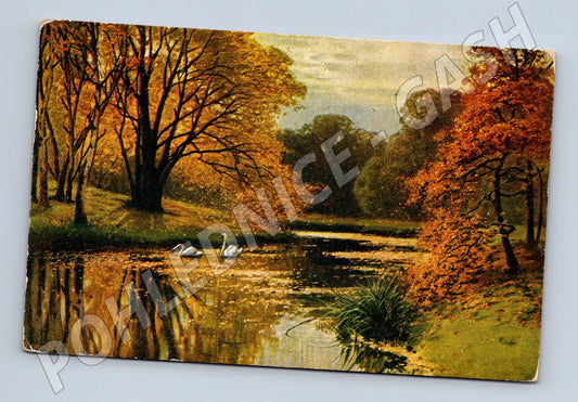 Pohlednice podzimní krajina s labutěmi 1968 (M6434)