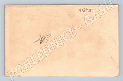 Pohlednice zátiší hrozny a džbánek ČSR (M6438)