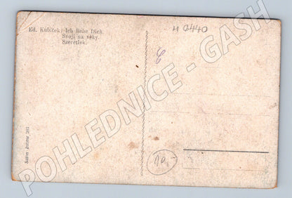 Pohlednice zamilovaný pár Ich liebe Dich (M6440)