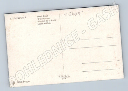 Pohlednice Lesní žínka Ad. Liebscher (M6465)