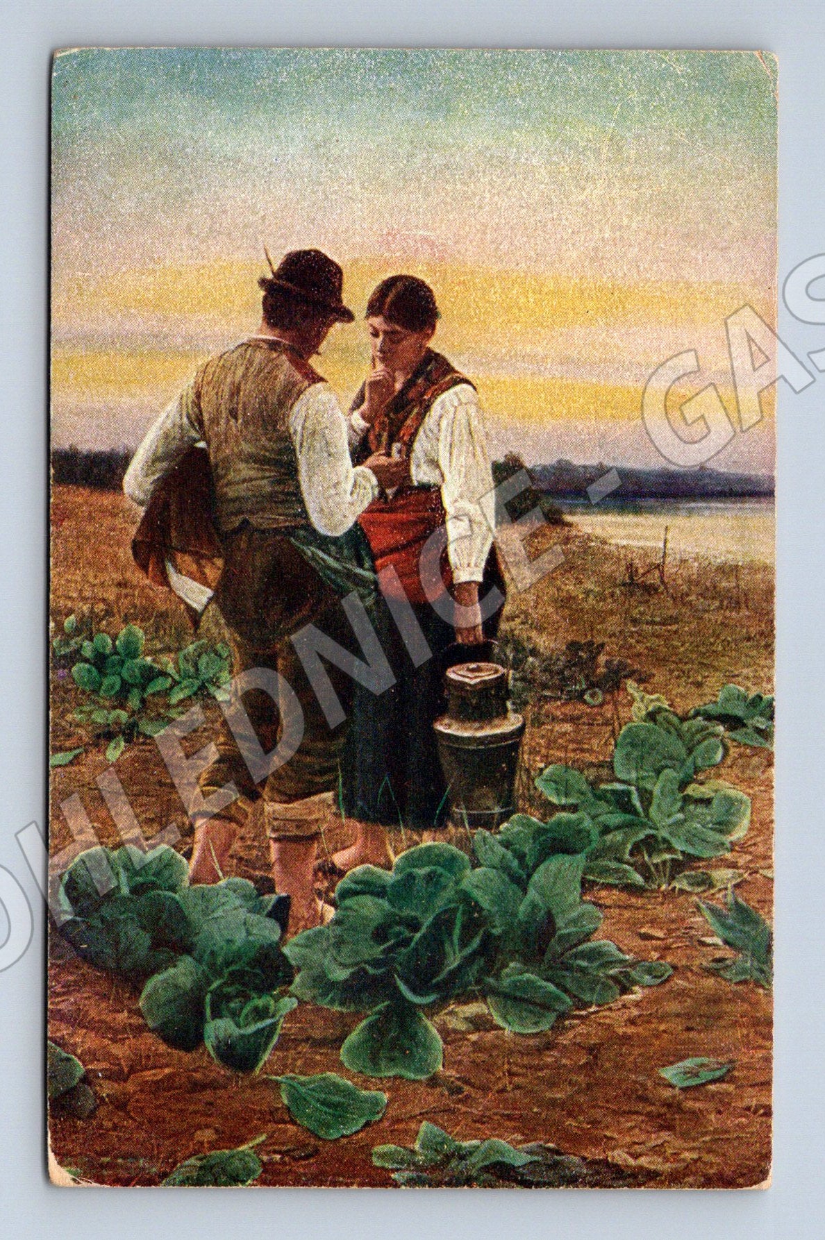 Pohlednice etnografie venkovské dvoření Falkenberg (M6470)