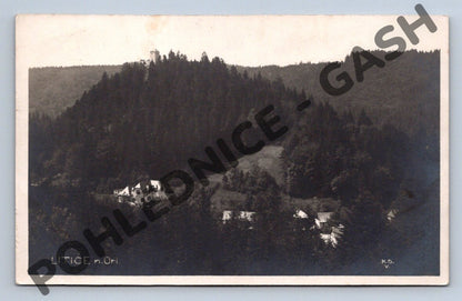 Pohlednice Litice nad Orlicí hrad stará pohlednice 1923 (M648)