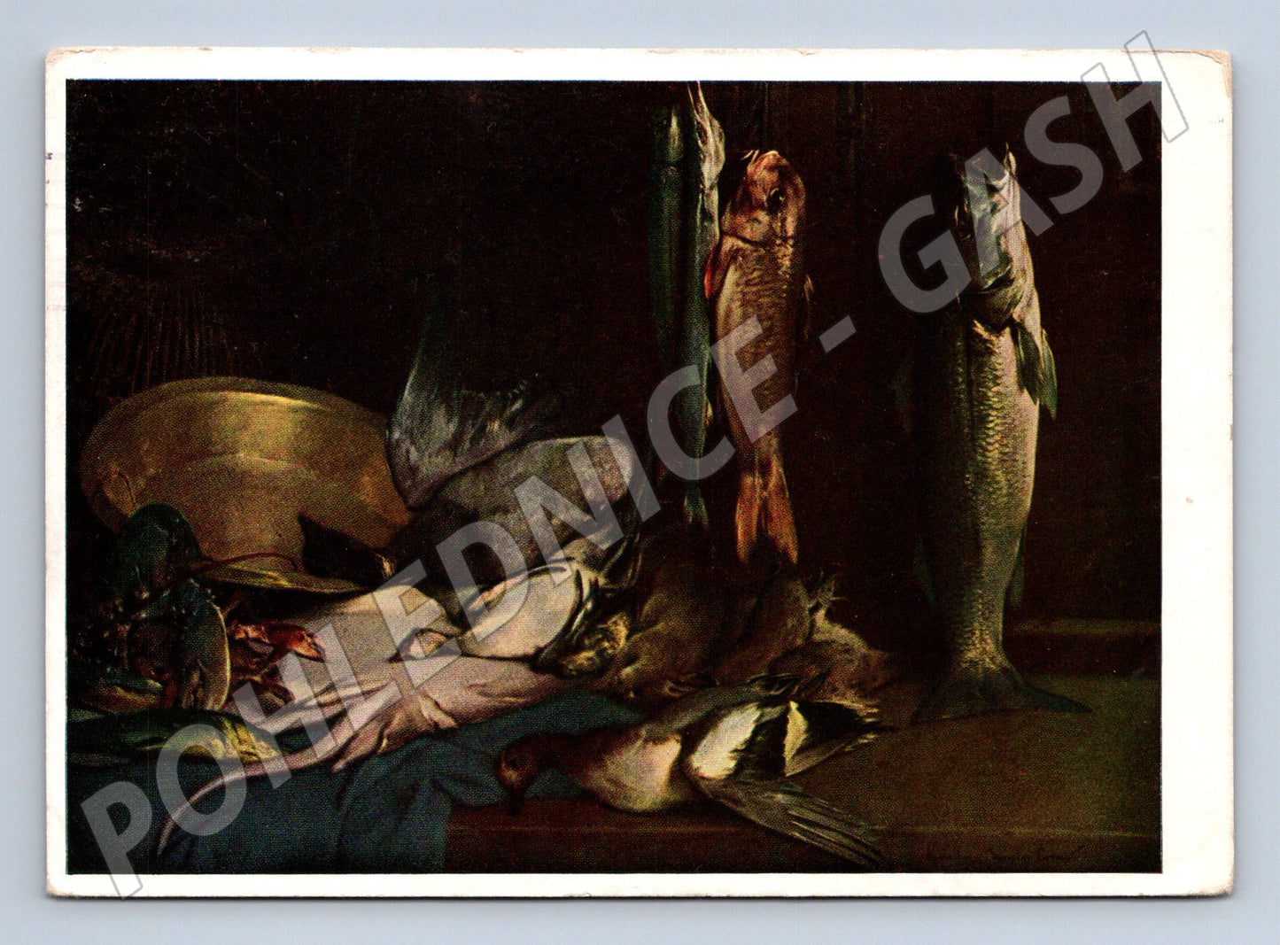 Pohlednice zátiší s rybami Čermák 1964 (M6495)