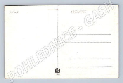 Pohlednice Rodinné štěstí J. Fiala (M6496)