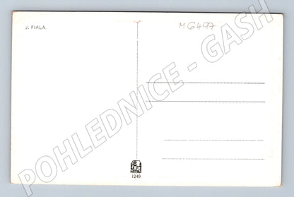 Pohlednice Rodinné štěstí Fiala malířství (M6497)