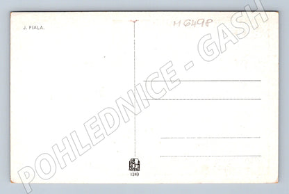 Pohlednice Rodinné štěstí J. Fiala Minerva (M6498)