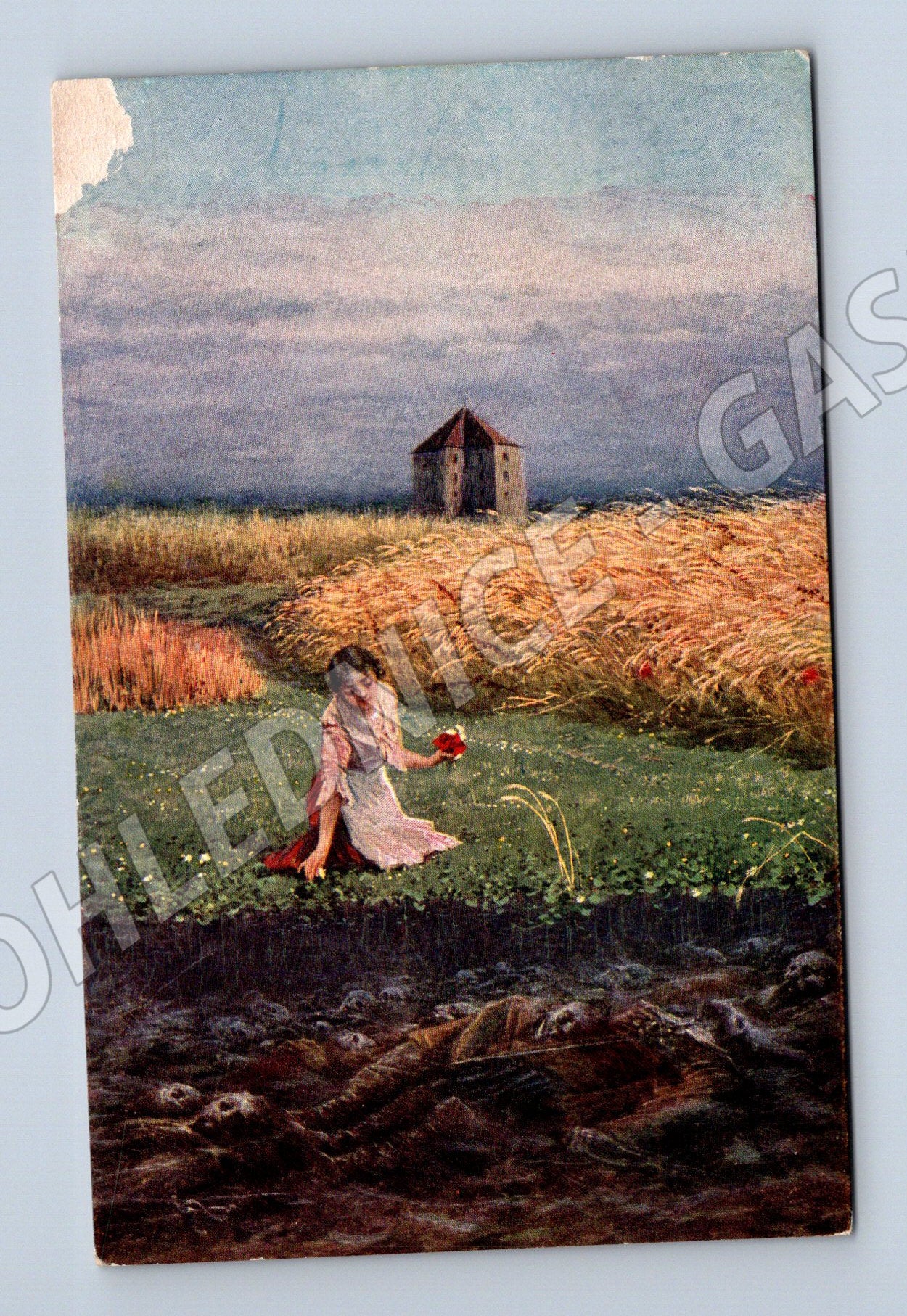 Pohlednice Svaté pole Česká krajina (M6507)