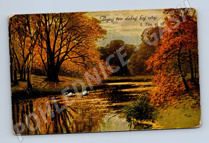 Pohlednice labutě na jezeře podzimní krajina (M6512)