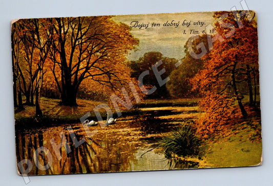 Pohlednice labutě na jezeře podzimní krajina (M6512)