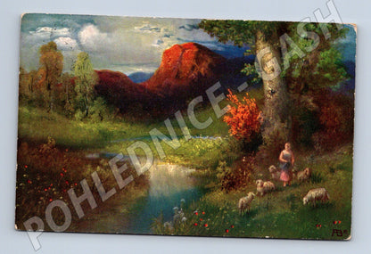 Pohlednice pastýřka s ovcemi 1906 (M6514)