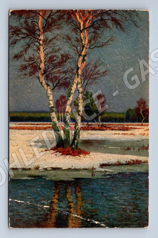 Pohlednice Schreyer Drei Birken břízy (M6518)