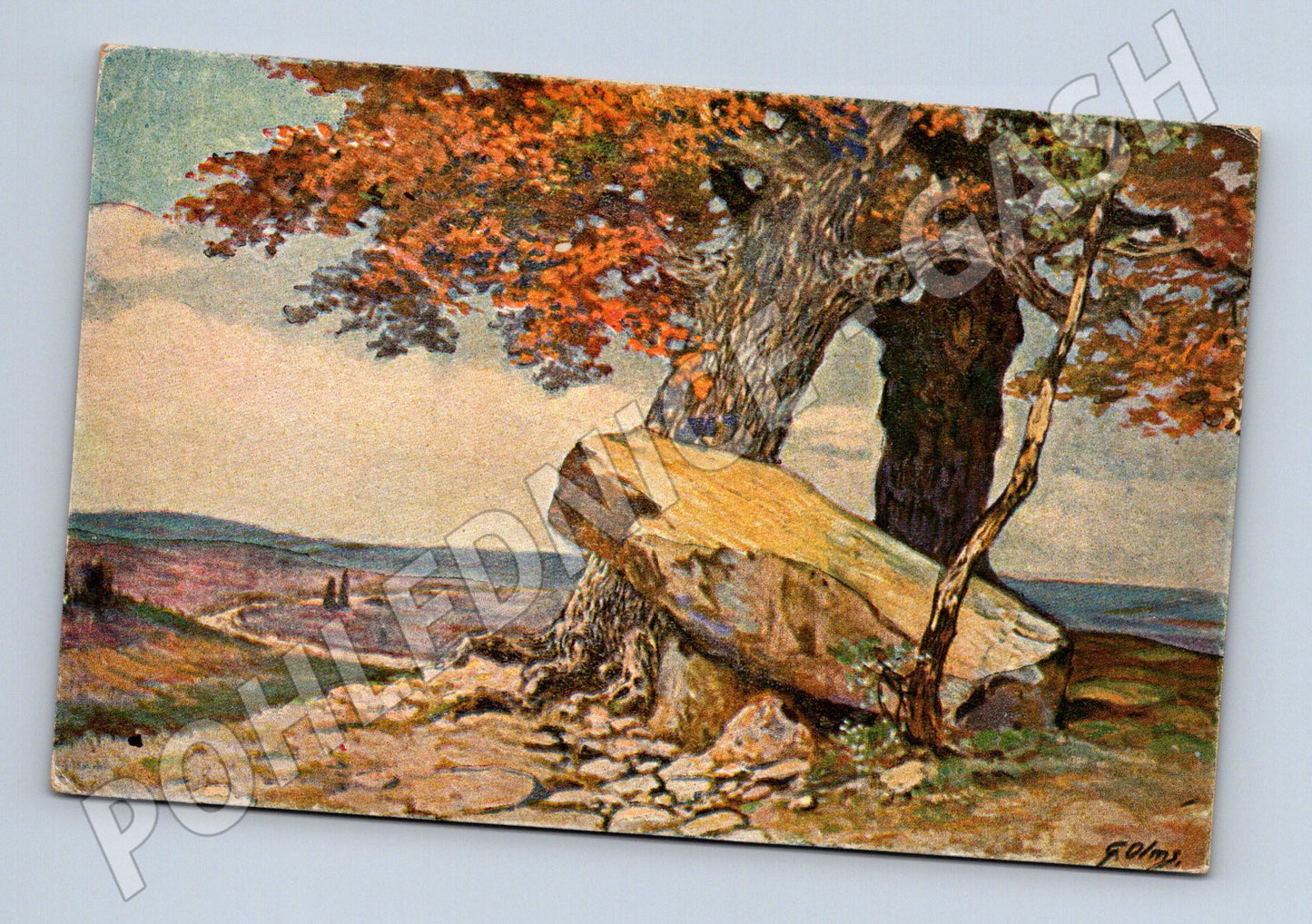 Postcard painted landscape by F. Olms (M6524)