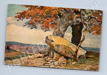 Postcard painted landscape by F. Olms (M6524)