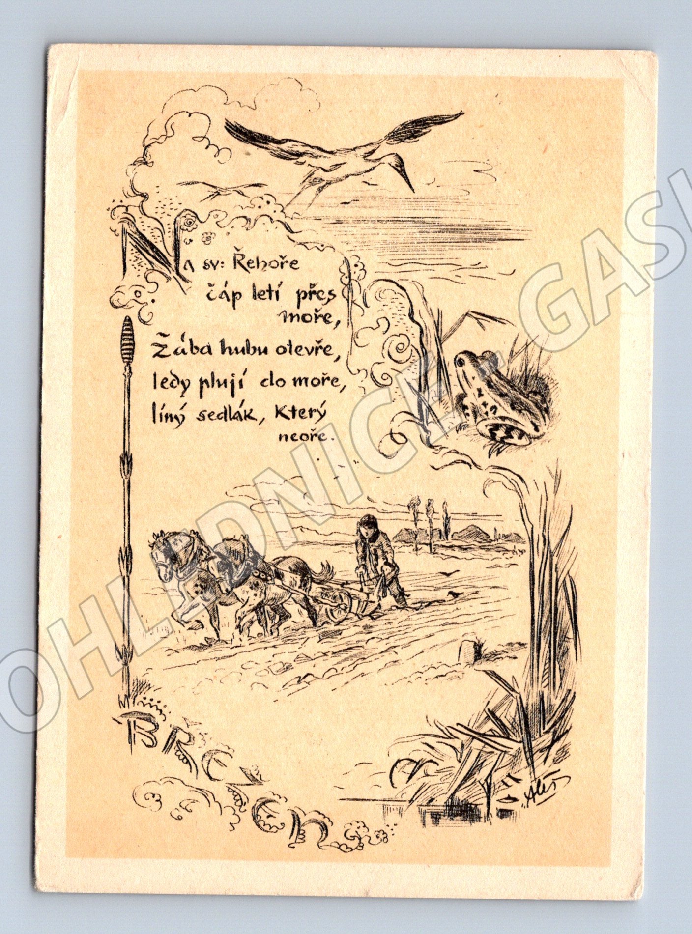 Pohlednice čáp ryby ilustrace malý formát (M6543)