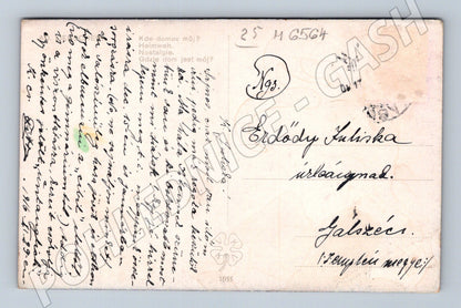 Pohlednice houslista a dívka příroda (M6564)