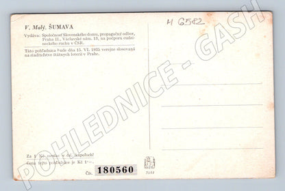 Pohlednice Šumava ilustrovaná 1935 (M6582)