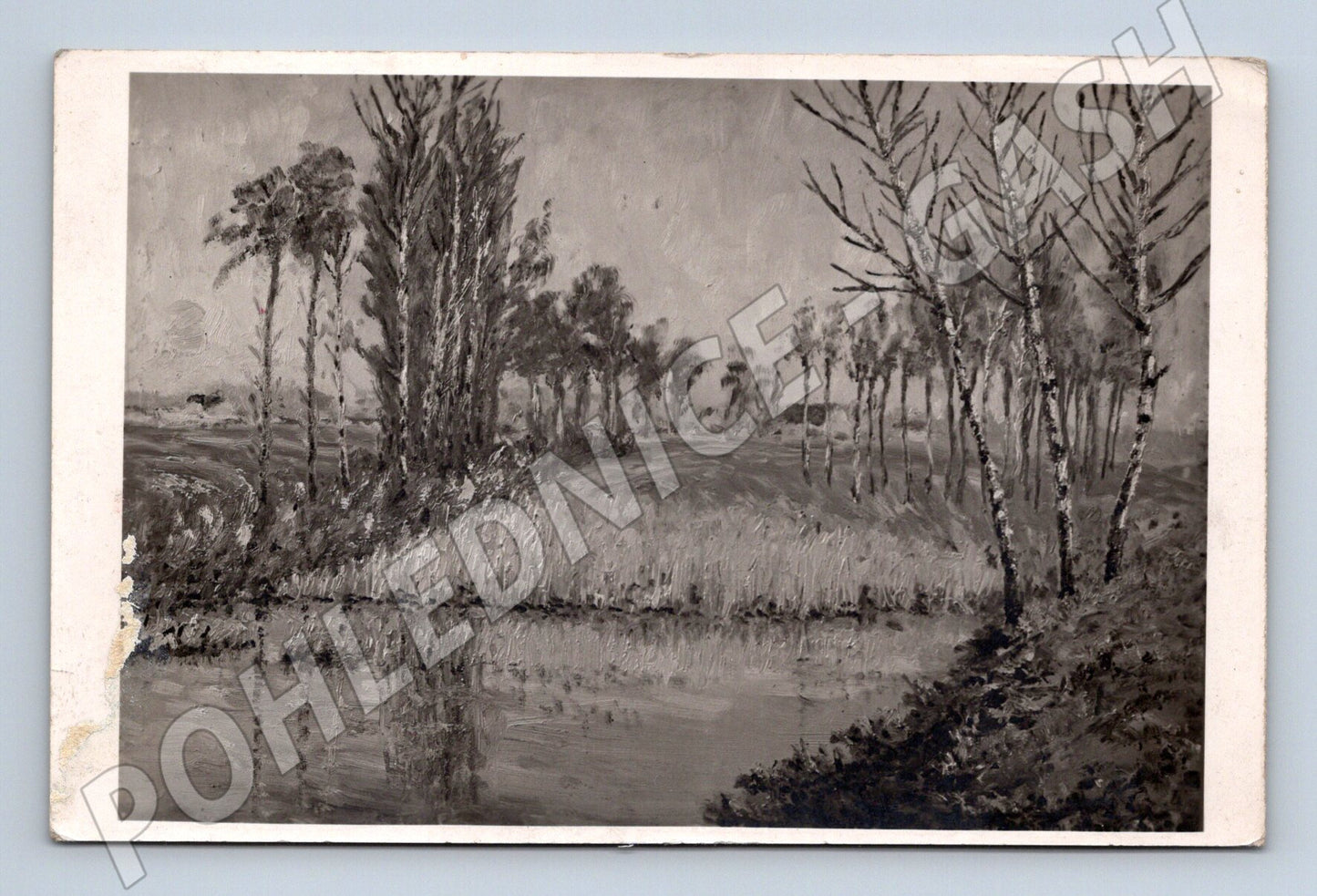 Pohlednice černobílá krajina řeka stromy (M6585)