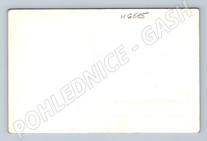 Pohlednice černobílá krajina řeka stromy (M6585)