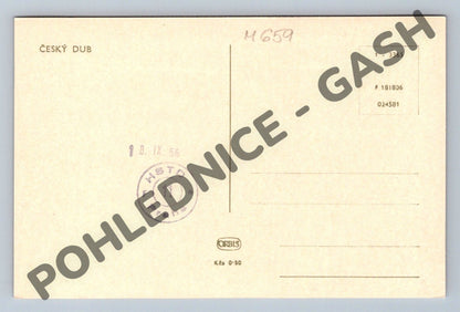 Pohlednice Český Dub vintage malý formát 1956 ČSR (M659)