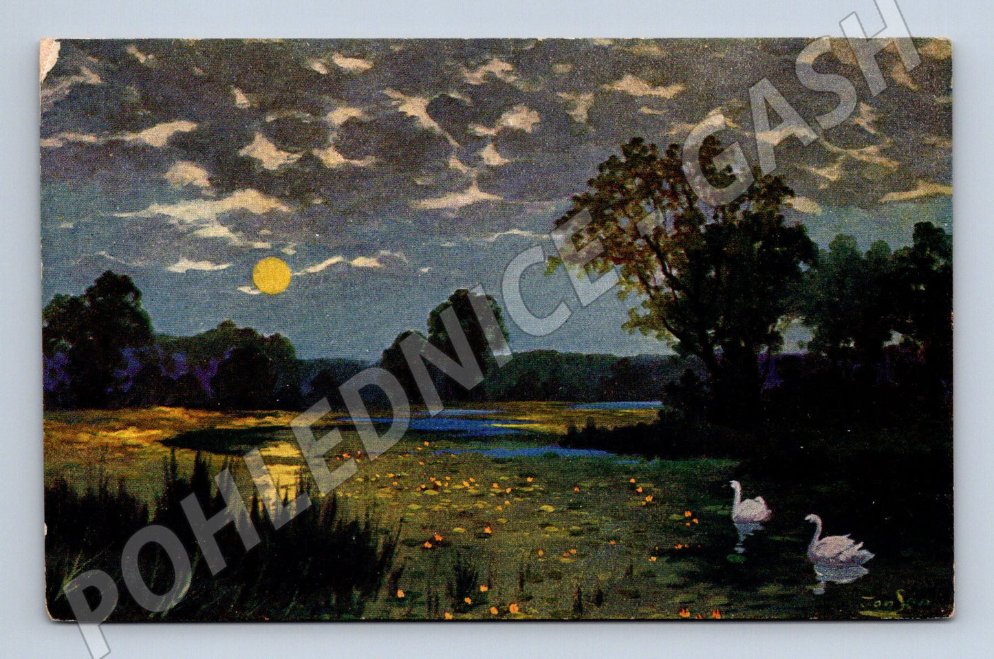 Pohlednice Labutí jezero dvě labutě (M6611)