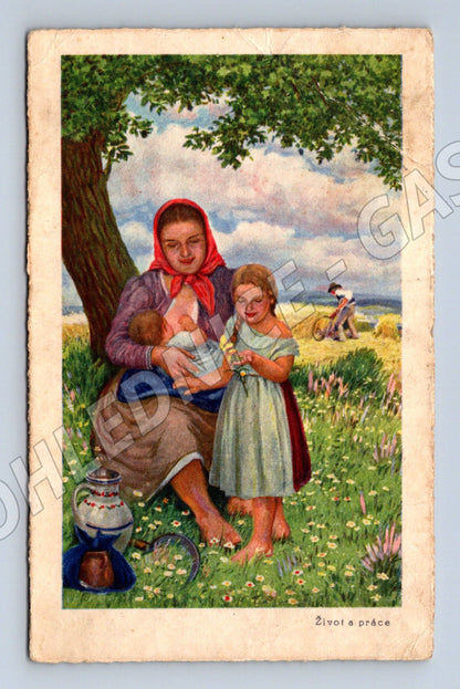 Pohlednice Život a práce etnografie (M6618)