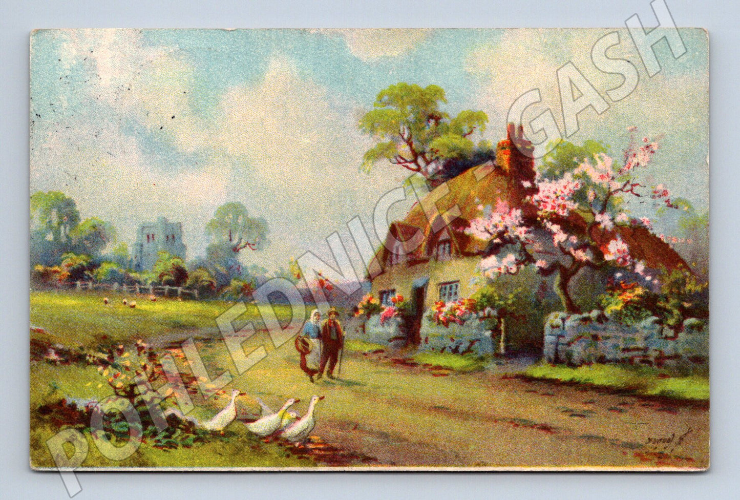 Pohlednice venkovská chalupa Bakov 1910 (M6621)