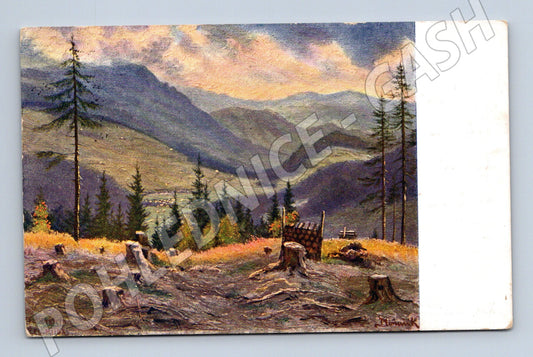 Pohlednice Šumava Špičák Železná Ruda 1953 (M6633)